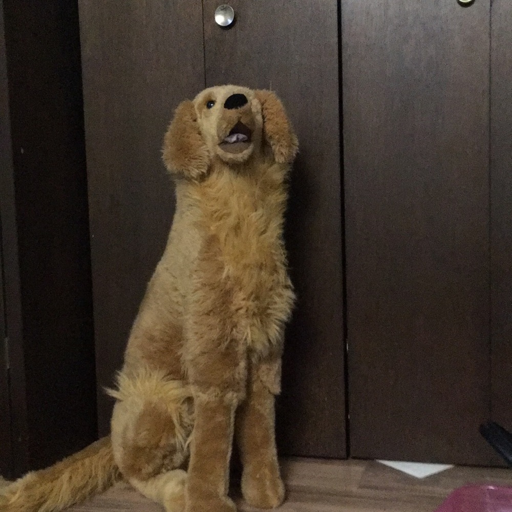 Stuffed animal